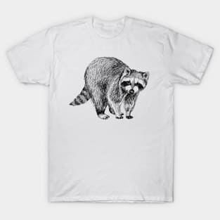 Raccoon Illustration T-Shirt